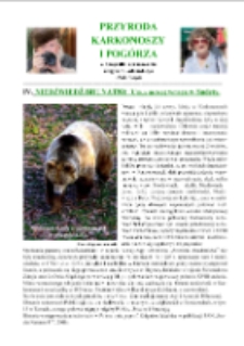 Niedźwiedź brunatny (Ursus arctos) wraca w Sudety