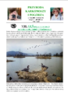 Gęś gęgawa (anser anser) na trasie swych przelot&oacute;w w Karkonoszach