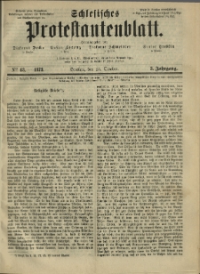Schlesisches Protestantenblatt. 1873.10.25 Jg.3 No43