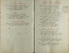 Meretrix in quendam iuvenem