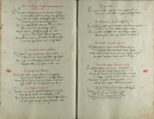 In triumphum amoris pictum