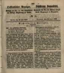 Oeffentlicher Anzeiger. 1850.07.30 Nr 31