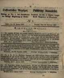 Oeffentlicher Anzeiger. 1857.01.13 Nro.2