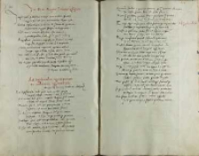 In Bone regine Poloniae effigiem