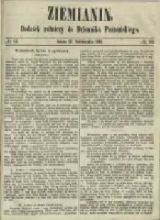 Ziemianin. Dodatek r&oacute;lniczy do Dziennika Poznańskiego 1861.10.19 Nr42