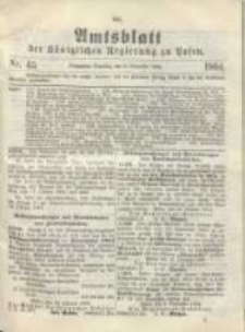 Amtsblatt der Königlichen Regierung zu Posen.1904.11.08 Nr.45