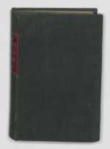 Masław : powieść z XI wieku. T. 1