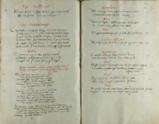 Epitaphium Bernardi a Gora, qui pro sacerdotio Romam vadens ad litigandum paduam perveniens, cadens ex equo est mortuus