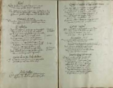 Quidam de seipso Aule deditus