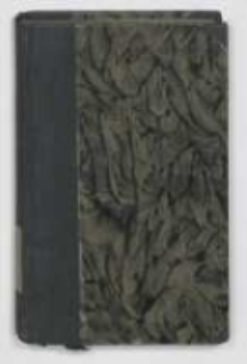 Moskal : obrazek z r. 1864 narysowany z natury B. Bolesławita