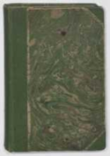 Kr&oacute;l i Bondarywna : powieść historyczna