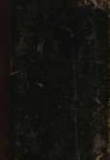 Nad modrym Dunajem : nowella