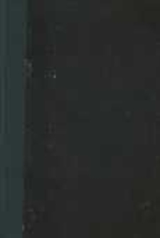 Grzechy hetmańskie : powieść z końca XVIII wieku. T.2