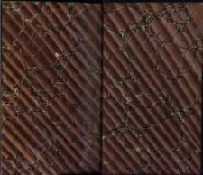 L'histoire romaine &agrave; Rome. T.3