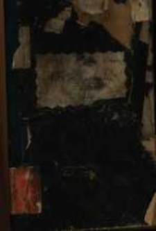 Chcę sobie pohulać! Krotofila w 3-ch aktach ze śpiewkami z niemieckiego P. [Jana] Nestroy&rsquo;a przełożona (1845 r.)