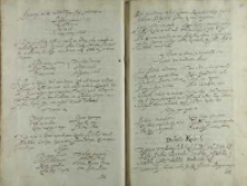 Declaratia krolewska, w obozie pod Warszawą 28.06.1607