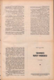 Tajemnica burzy morskiej: powieść