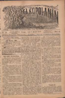 Wielkopolanin 1888.01.31 R.6 Nr25