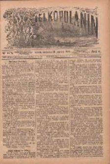 Wielkopolanin 1888.06.24 R.6 Nr144