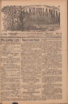 Wielkopolanin 1888.10.28 R.6 Nr249