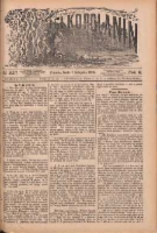 Wielkopolanin 1888.11.07 R.6 Nr256