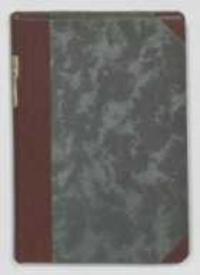 Bracia zmartwychwstańcy : powieść z czas&oacute;w Chrobrego