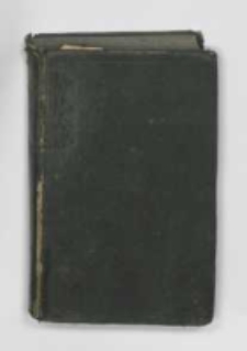 Album Muzeum Narodowego w Rapperswyllu : rok 1876 pod red. J.I. Kraszewskiego