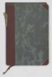 Bracia zmartwychwstańcy : powieść z czas&oacute;w Chrobrego