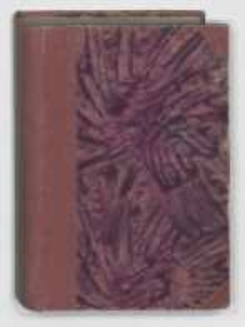 Dwa Bogi, dwie drogi : powieść wsp&oacute;łczesna. T.2