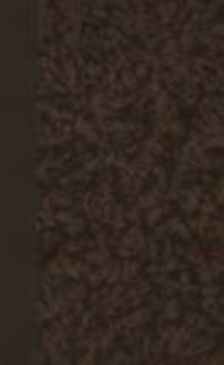 Polska w czasie trzech rozbior&oacute;w 1772-1799 : studia do historyi ducha i obyczaju. T.1, 1772-1787