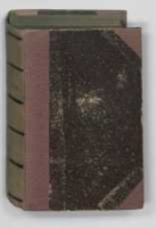 Strzemieńczyk : (czasy Władysława Warneńczyka). T.2