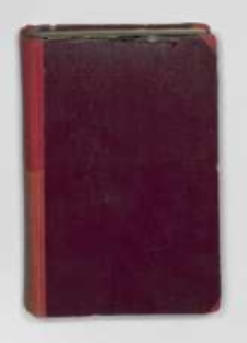 Brühl : opowiadanie historyczne. T.1