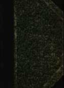 Powr&oacute;t do gniazda : powieść z podań XVI wieku