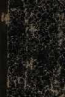 Ś. Stanisław i Bolesław Śmiały : antyteza dziejowa, z uwzględnieniem rozmaitych zdań przeciwnych rozwijana przez Z. K.