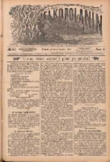 Wielkopolanin 1890.03.08 R.8 Nr56