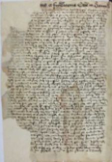 Littere erectionis et fundacionis ecclesie in Sanniky