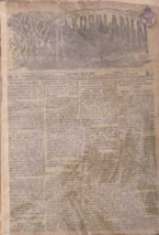 Wielkopolanin 1906.01.03 R.24 Nr1