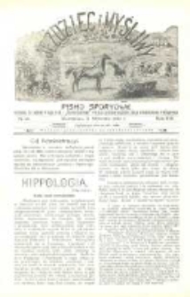 Jeździec i Myśliwy 1909 Nr24