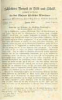 Schlesiens Vorzeit in Bild und Schrift: Zeitschrift des Vereins f&uuml;r das Museum schlesischer Altert&uuml;mer. Band 5 No.6 Bericht 77-79