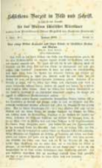 Schlesiens Vorzeit in Bild und Schrift: Zeitschrift des Vereins für das Museum schlesischer Altertümer. Band 5 No.8 Bericht 81