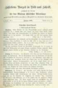 Schlesiens Vorzeit in Bild und Schrift: Zeitschrift des Vereins f&uuml;r das Museum schlesischer Altert&uuml;mer. Band 5 No.5 Bericht 75-76