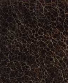 Aristoteles graece ex recensione Immanuelis Bekkeri. Edidit Academia Regia Borussica. Vol.1