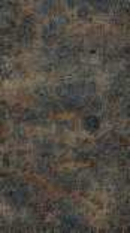 Topographie und Statistick des Niederschlesischen Regierungs - Departements. Th.1 Das Fürstenthum Sagan