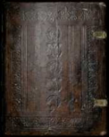 Żołtarz Dawida Proroka i kroniczka rodzinna Jana Wyleżynskiego