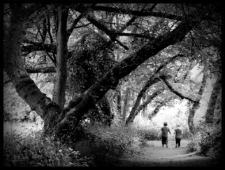 Bajka o Jasiu i Małgosi