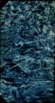 Conf&eacute;rences th&eacute;ologiques et spirituelles sur les grandeurs de J&eacute;sus-Christ. T.1