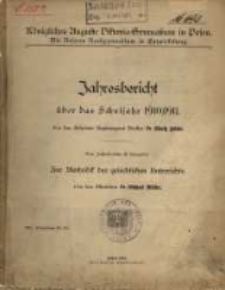 Jahresbericht &uuml;ber das Schuljahr ...