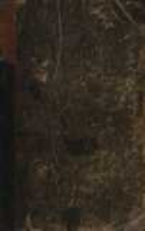 Duch i krew : kilka zarys&oacute;w z życia towarzyskiego. T.1-3