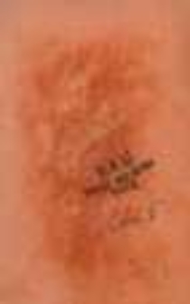 Annales romantiques: recueil de morceaux choisis de litt&eacute;rature contemporaine