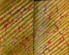 L'herbier des demoiselles: traité complet de la botanique présentée sous une forme nouvelle et spéciale: ouvrage illustré de jolies vignettes contenant la description, les usages naturels et les harmonies des diverses parties de plantes, la manière de greffer les arbustes, et les classifications botaniques; l'exposé des plantes les plus utiles; leurs usages dans les arts et l'économie domestique et les principaux souvenirs qui y sont attachés: les règles pour herboriser, une petite flore simple et facile pour aider à découvrir le nom des plantes; la disposition d'un herbier